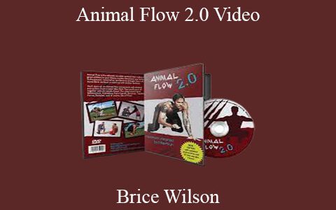 Animal Flow 2.0 Video