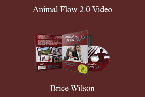 Mike Fitch – Animal Flow 2.0 Video