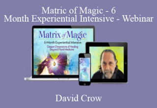 David Crow – Matric of Magic – 6 – Month Experiential Intensive – Webinar