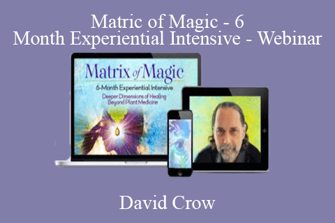 David Crow – Matric of Magic – 6 – Month Experiential Intensive – Webinar