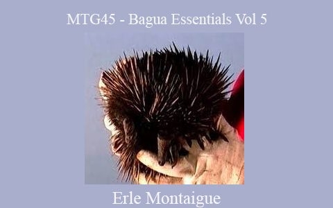 Erle Montaigue – MTG45 – Bagua Essentials Vol 5