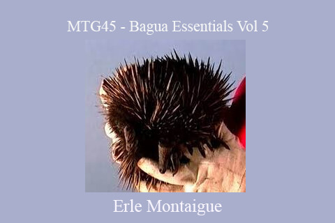 Erle Montaigue – MTG45 – Bagua Essentials Vol 5