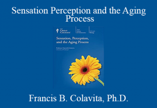 Francis B. Colavita, Ph.D. – Sensation Perception and the Aging Process