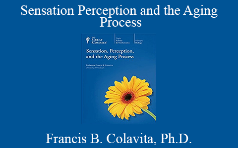 Francis B. Colavita, Ph.D. – Sensation Perception and the Aging Process