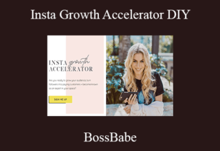 BossBabe – Insta Growth Accelerator DIY