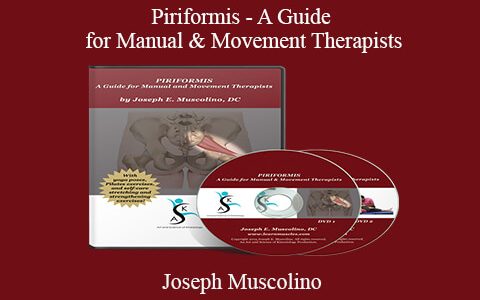 Joseph Muscolino – Piriformis – A Guide for Manual & Movement Therapists