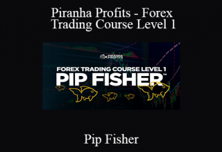 Pip Fisher – Piranha Profits – Forex Trading Course Level 1