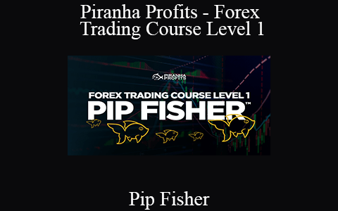 Pip Fisher – Piranha Profits – Forex Trading Course Level 1