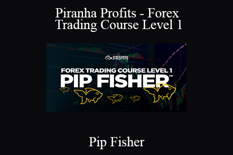 Pip Fisher – Piranha Profits – Forex Trading Course Level 1