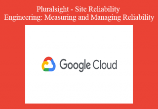 Pluralsight – Site Reliability Engineering: Measuring and Managing Reliability