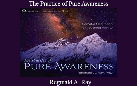 Reginald A. Ray – The Practice of Pure Awareness