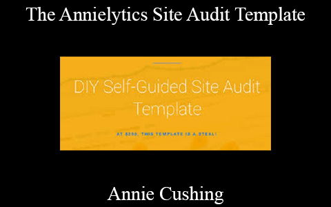 Annie Cushing – The Annielytics Site Audit Template