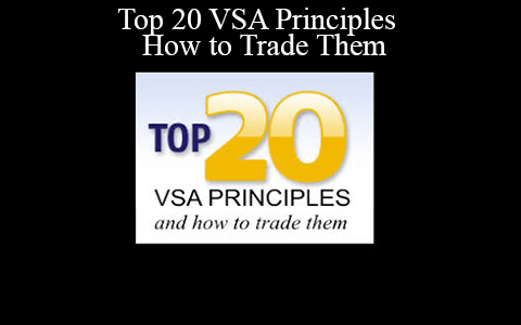 Tradeguider – Top 20 VSA Principles & How to Trade Them