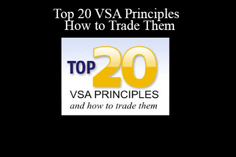 Tradeguider – Top 20 VSA Principles & How to Trade Them