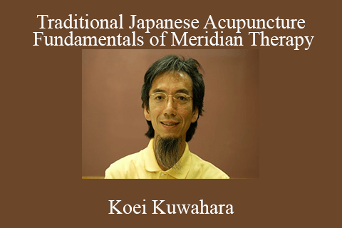 Koei Kuwahara – Traditional Japanese Acupuncture: Fundamentals of Meridian Therapy