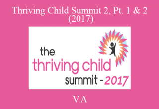 V.A – Thriving Child Summit 2, Pt. 1 & 2 (2017)