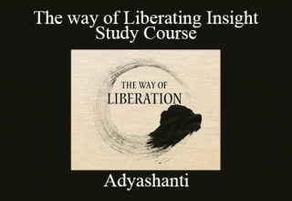 Adyashanti – The way of Liberating Insight – Study Course