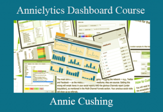 Annie Cushing – Annielytics Dashboard Course