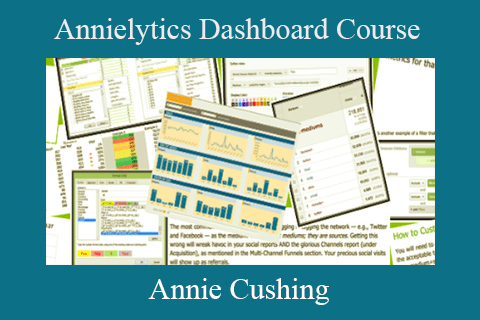 Annie Cushing – Annielytics Dashboard Course