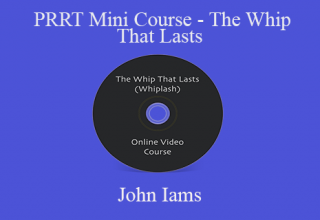 John Iams – PRRT Mini Course – The Whip That Lasts