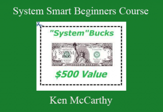 Ken McCarthy – System Smart Beginners Course