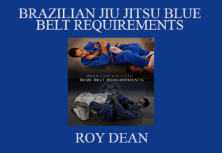 ROY DEAN – BRAZILIAN JIU JITSU BLUE BELT REQUIREMENTS