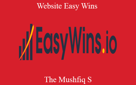 The Mushfiq S – Website Easy Wins