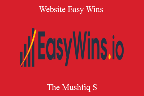 The Mushfiq S – Website Easy Wins