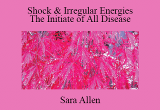 Sara Allen – Shock & Irregular Energies The Initiate of All Disease