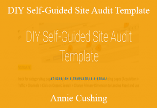 Annie Cushing – DIY Self-Guided Site Audit Template