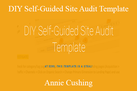 Annie Cushing – DIY Self-Guided Site Audit Template