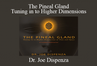 Dr. Joe Dispenza – The Pineal Gland – Tuning in to Higher Dimensions