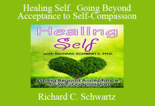 Richard C. Schwartz – Healing Self. Going Beyond Acceptance to Self-Compassion