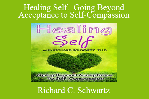 Richard C. Schwartz – Healing Self. Going Beyond Acceptance to Self-Compassion