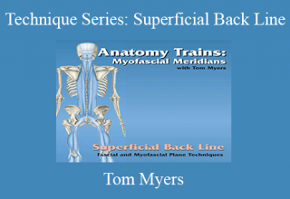 Tom Myers – Technique Series: Superficial Back Line