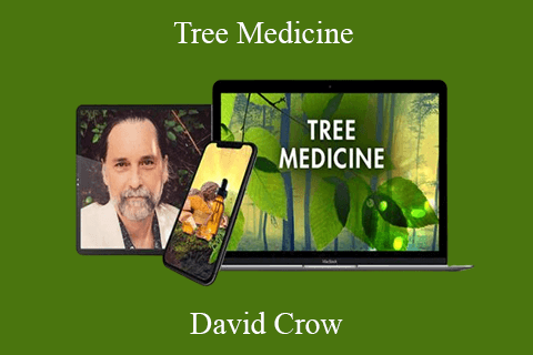 David Crow – Tree Medicine