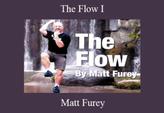 Matt Furey – The Flow I