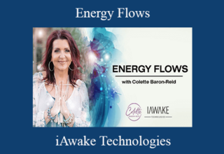 iAwake Technologies – Energy Flows