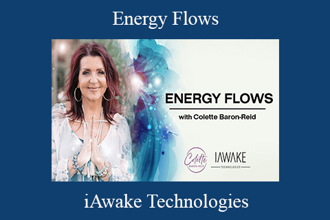 iAwake Technologies – Energy Flows