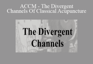 ACCM – The Divergent Channels Of Classical Acupuncture