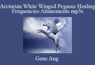 Gene Ang – Arcturian White Winged Pegasus Healing Frequencies Attunements mp3s