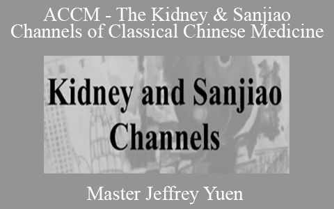 Master Jeffrey Yuen – ACCM – The Kidney & Sanjiao Channels of Classical Chinese Medicine