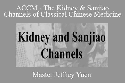 Master Jeffrey Yuen – ACCM – The Kidney & Sanjiao Channels of Classical Chinese Medicine