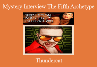 Thundercat – Mystery Interview The Fifth Archetype