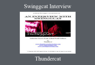 Thundercat – Swinggcat Interview