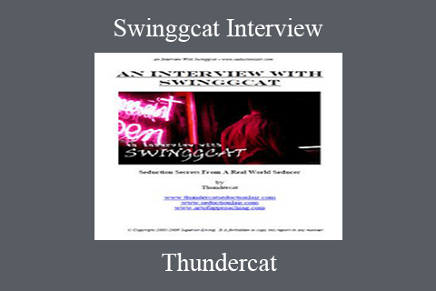 Thundercat – Swinggcat Interview