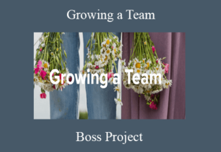 Boss Project – Growing a Team