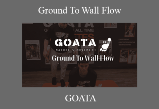 GOATA – Ground To Wall Flow