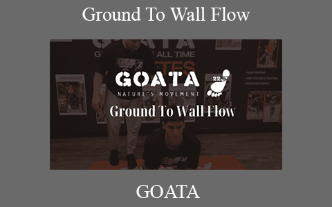 GOATA – Ground To Wall Flow