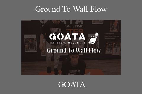 GOATA – Ground To Wall Flow